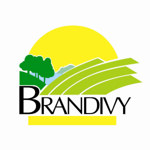 Image de la commune de Brandivy
