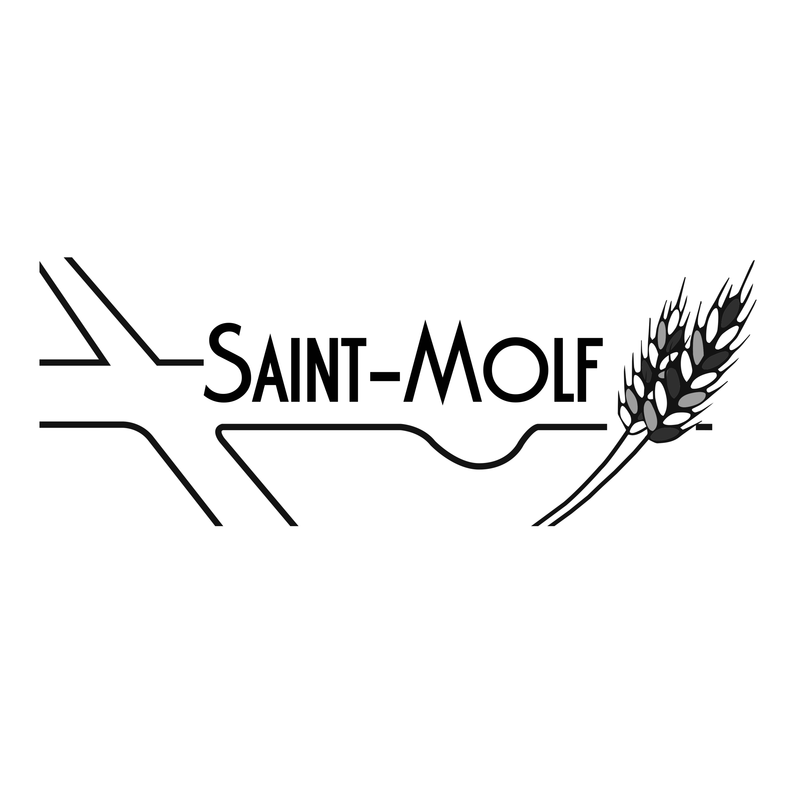 Image de la commune de Saint-Molf
